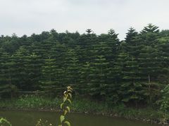 -迪茵湖田家舍生态农场
