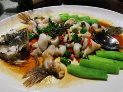 -猪肉婆私房菜(容桂总店)