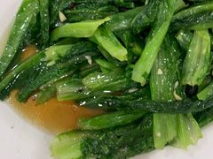 豆豉炒油麦菜-秋姐美食店(旅游大道店)