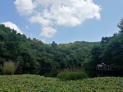 -天目湖山水园
