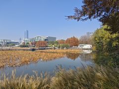 -月湖风景区