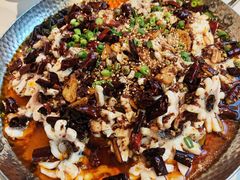 -三猫黑鱼花(南大店)