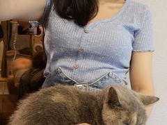 -more than meow吴止猫主题餐厅(承德 中船汇店)