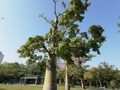 -四海公园(南山区)