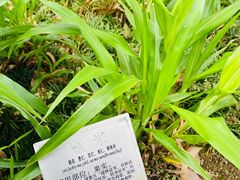 -广州神农草堂中医药博物馆