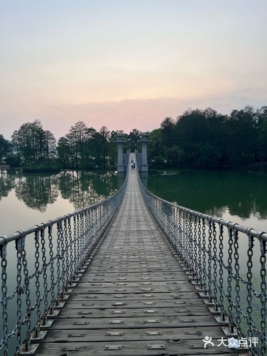 东湖落雁景区图片