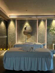 -VELEE·SPA高定疗愈会所