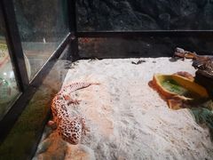 -白鹿仓冰雪海洋世界