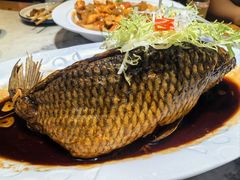 -大胡同天津菜·海肠捞饭·津门皮皮虾锅贴一绝(西姜井店)