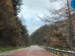 -秦岭风景区