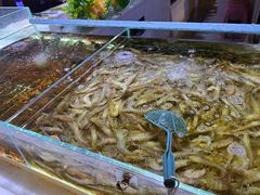 -聚盛源蒸汽海鲜火锅烤肉自助(巨川金海岸购物广场店)