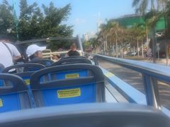 -Big Bus Tours 敞篷观光巴士