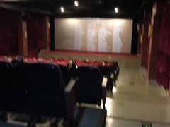 -广州蓓蕾剧院