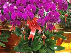 -金陵之星大酒店·中餐厅