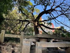 -草庵摩尼教遗址公园