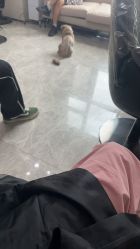 -米娜造型