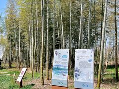 -同里国家湿地公园