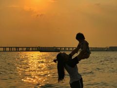 -宝安西湾红树林湿地公园