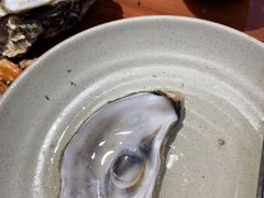 -千岛蚝高压锅生蚝·人参火锅(白云万达店)