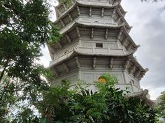 -深圳国际园林花卉博览园