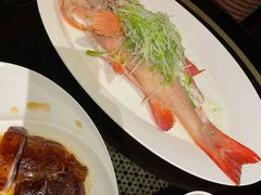 -北京四季酒店·采逸轩