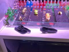 -好伦哥比萨烤肉自助(马家堡店)