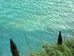 -武陵山森林公园