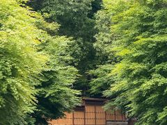 -庐山风景名胜区-东林大佛