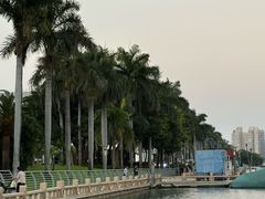 -厦门白鹭洲公园
