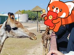 -鄂尔多斯野生动物园