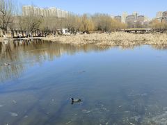 -前关湿地公园