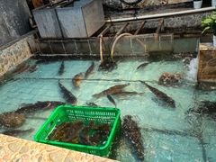 -鱼窝棚柴火铁锅炖(富山屯店)