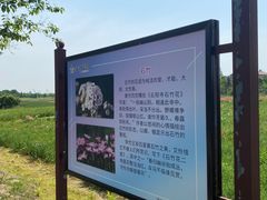 -金卉庄园