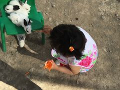 -新疆天山野生动物园