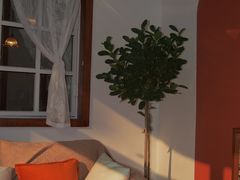 -LuluCake·路鹿蛋糕