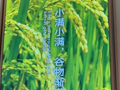-小满手工粉(北京顺义华联店)