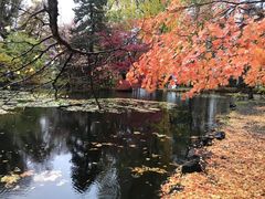-北海道厅旧本厅舍(旧本庁舎)