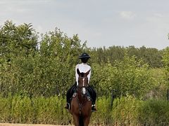 -北京群众马术培训基地