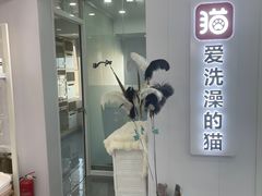 -爱洗澡的猫(望京店)