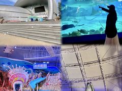 -烟台海昌鲸鲨海洋公园