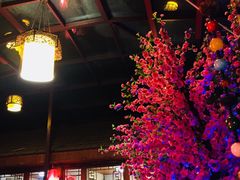 -丽江庭院之爱在路上(西单店)