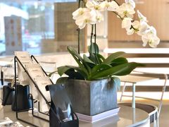 -Bracket Coffee(工体店)