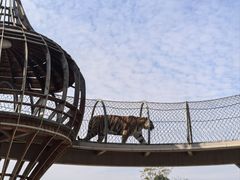 -无锡动物园·太湖欢乐园