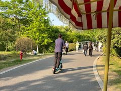 -昆山城市生态森林公园