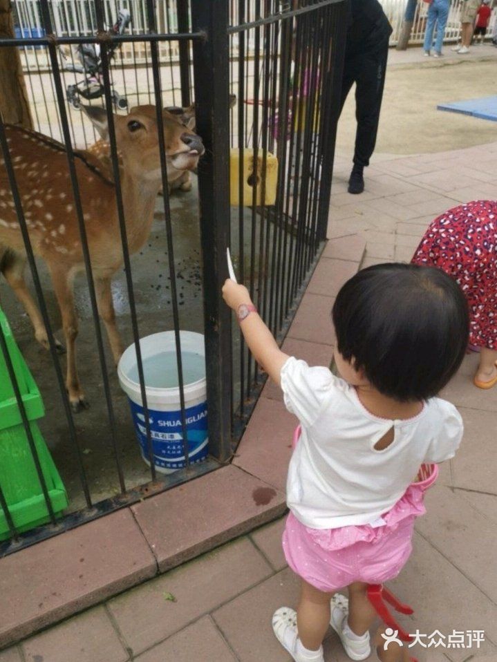 北京小朋友的游玩乐园👉蓝可可亲子乐园 