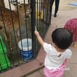 北京小朋友的游玩乐园👉蓝可可亲子乐园 