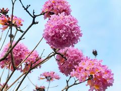 -188西餐厅(园林宾馆店)