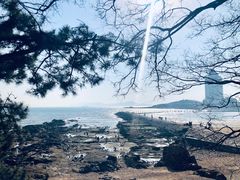 -八大关景区
