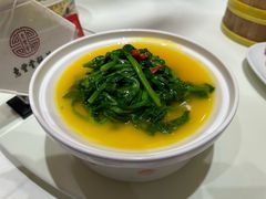 金汤豌豆尖-惠丰堂饭庄·烤鸭·京味菜(翠微路店)