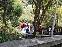 -仙岳公园